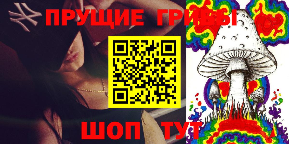Галлюциногенные грибы Psilocybine cubensis Мценск