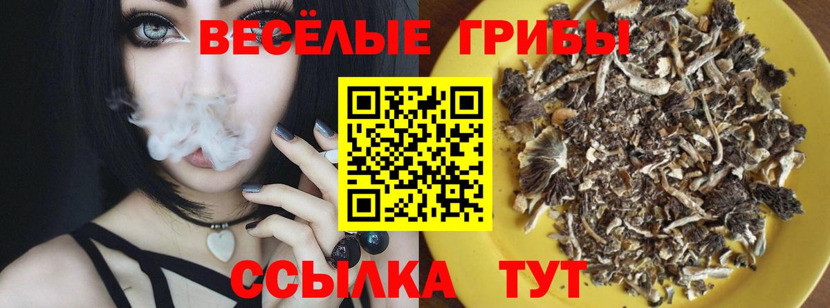 Мценск  Галлюциногенные грибы GOLDEN TEACHER  Вход с VPN 